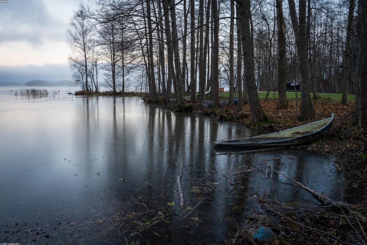 老年人便秘的治疗