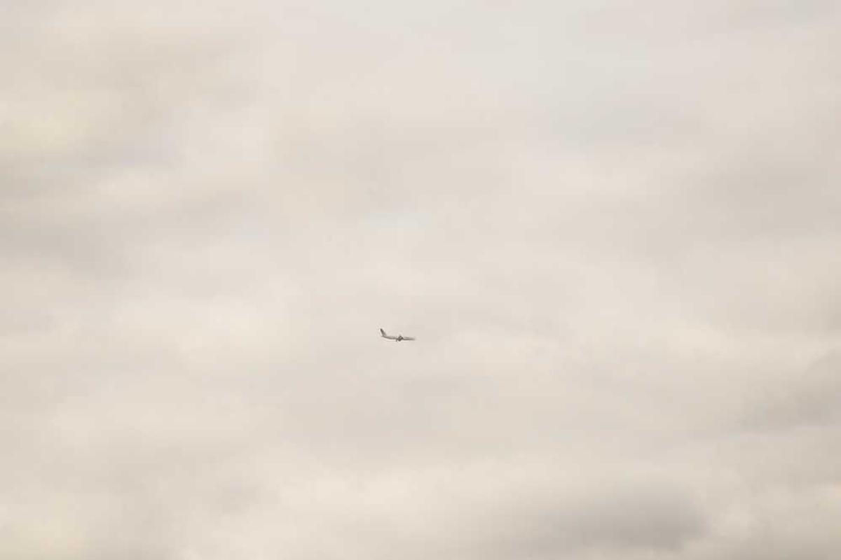 生物制剂或小分子双重疗法：治疗「难治性炎症性肠病」的新策略 | 研究速递