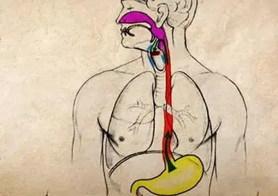 超声诊断胃食管反流病方法
