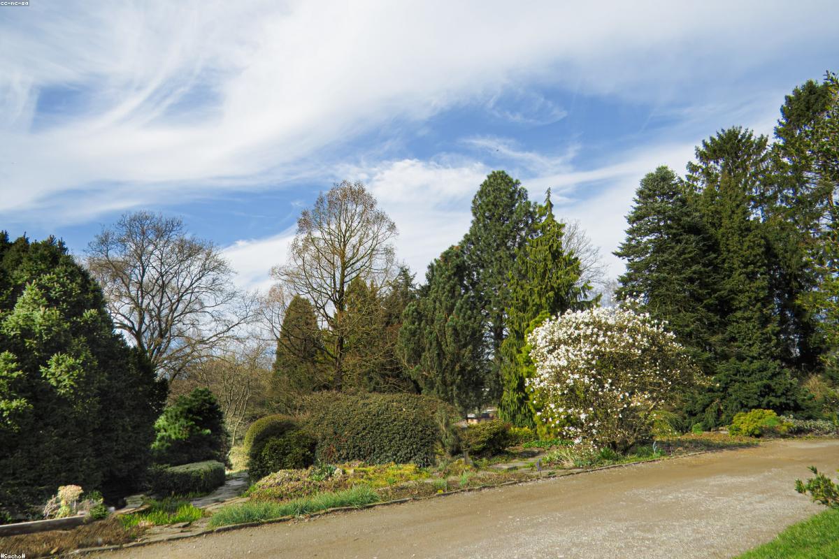 大肠息肉诊疗指南